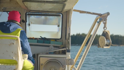 Woman navigating boat at sea
